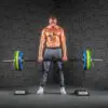 Deadlift Deadener 250mm - Standard Edition - Image 6