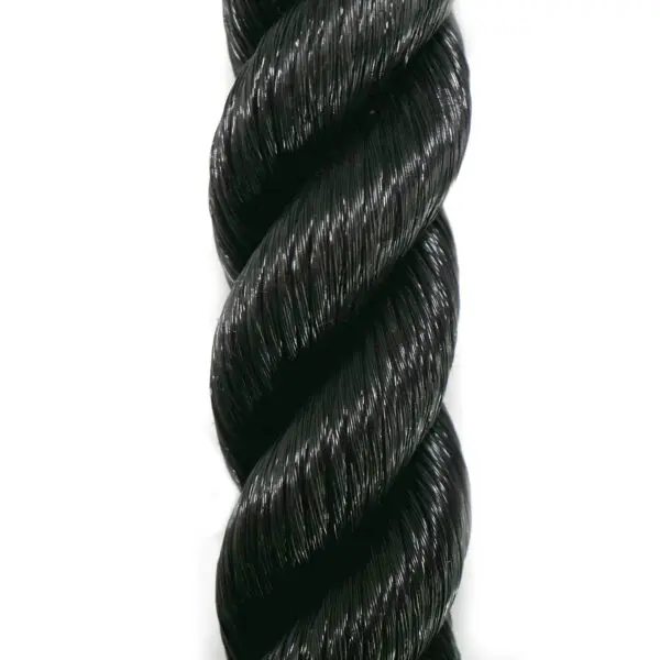 Single Tricep Rope - Image 3