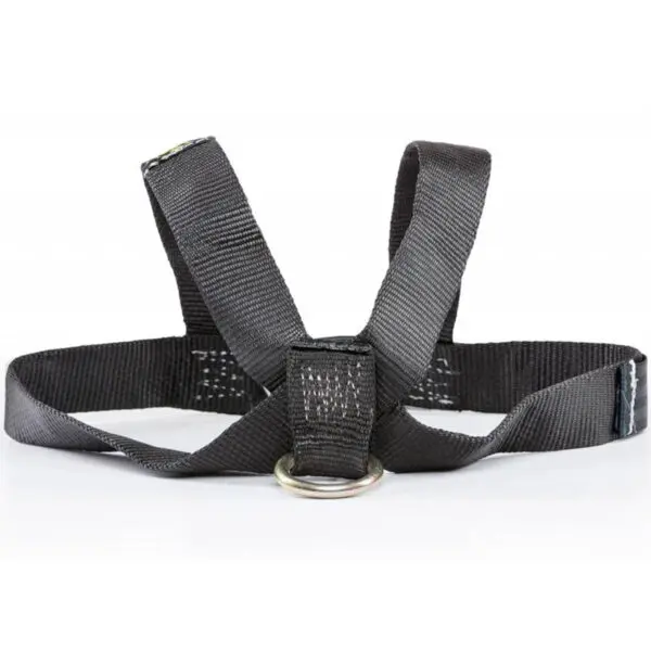 The Spud Inc Track Harness features a black fabric design with an adjustable buckle and metal D-ring for leash attachment, ideal for small to medium-sized dogs. Displayed against a plain white background, it offers a simple, functional style.