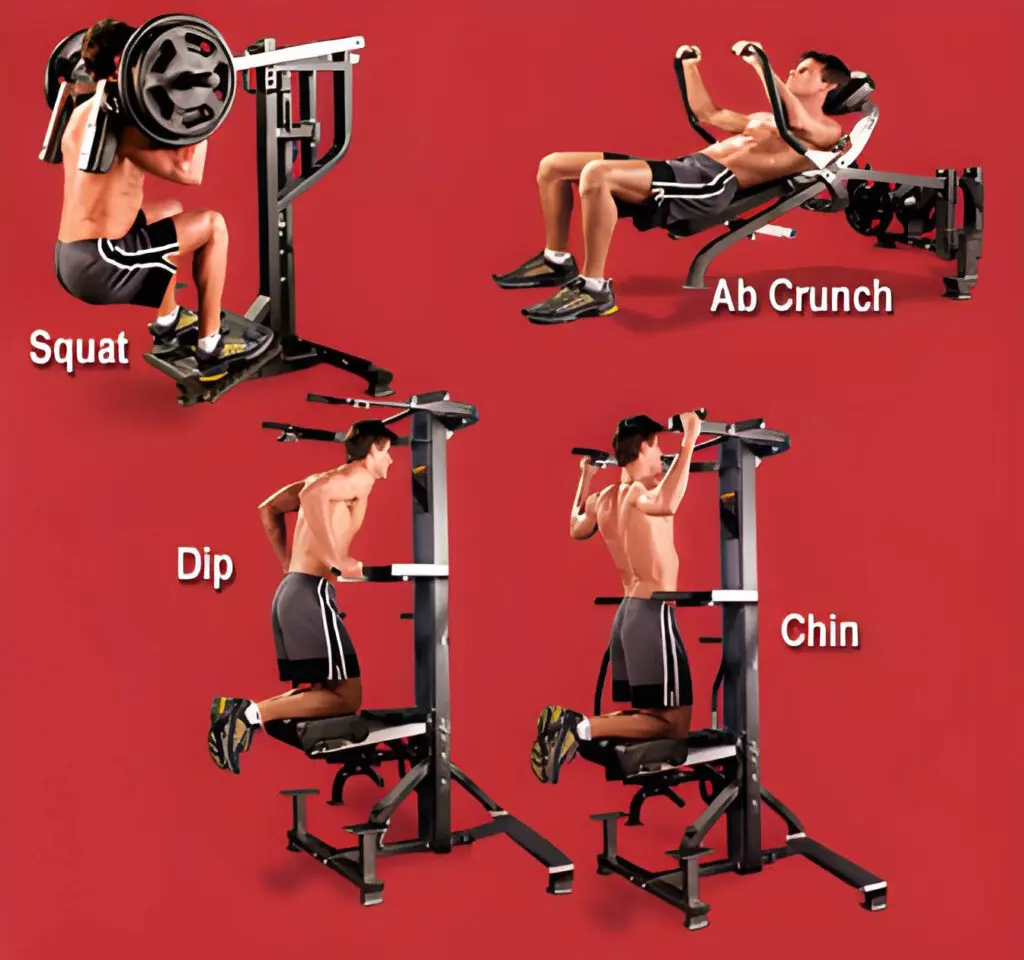 L-QF Powertec Leverage Quikfit System Exercises