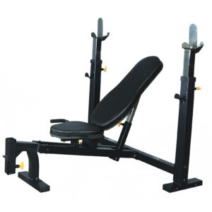 Powertec best sale olympic bench