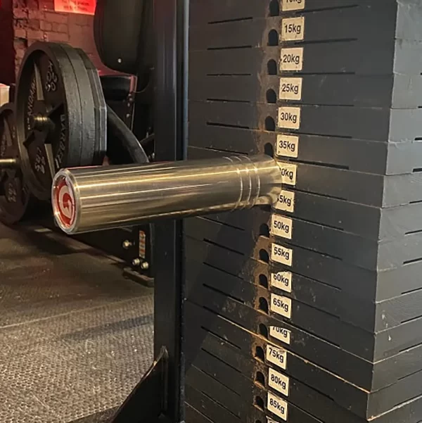 king pin in weight stack