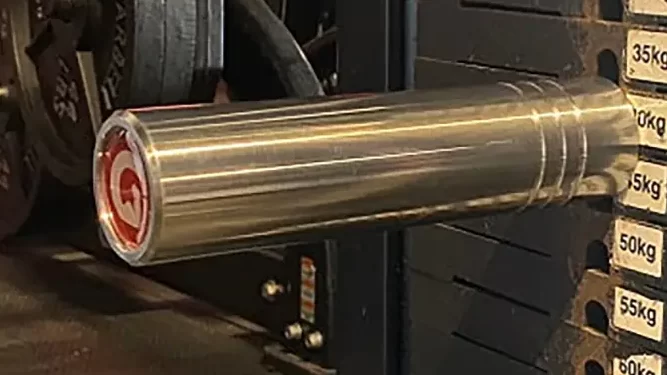 king pin in weight stack