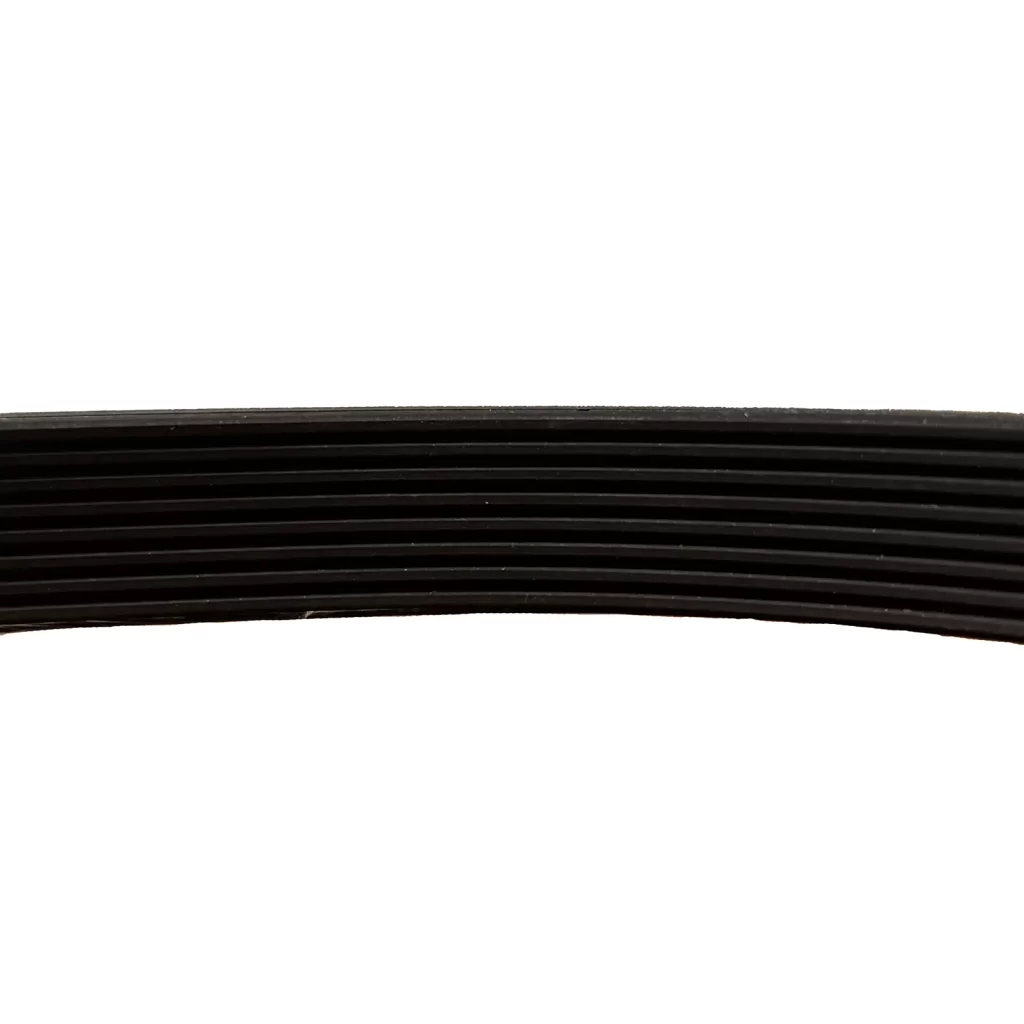 Close-up of a black, multi-ribbed automotive belt isolated on a white background, showing the grooved side facing forward.