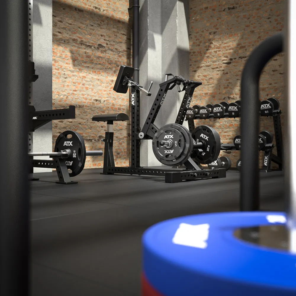 A gym with weightlifting equipment, including benches, weights, and barbells, positioned on black rubber flooring against a brick wall with sunlight streaming in. A blue and red weight plate is visible in the foreground.