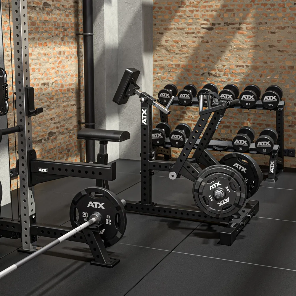 A modern gym with black weightlifting equipment, barbells, weight plates, and dumbbells arranged neatly against a brick wall, with sunlight streaming through nearby windows onto the rubber floor.
