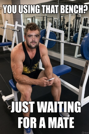 A muscular man sits on a bench press holding a phone in a gym. The text above reads, YOU USING THAT BENCH? and below, JUST WAITING FOR A MATE..
