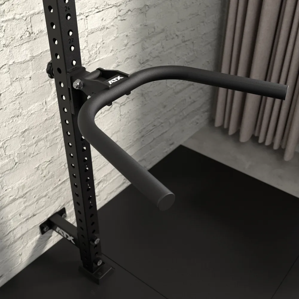Black dip bar attachment mounted to a vertical upright rig post.